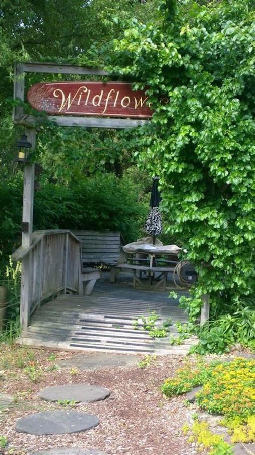 Wildflower Cottage Oxford Екстериор снимка